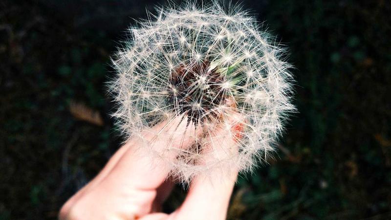 CDN加速原理：数据飞起来的秘密
