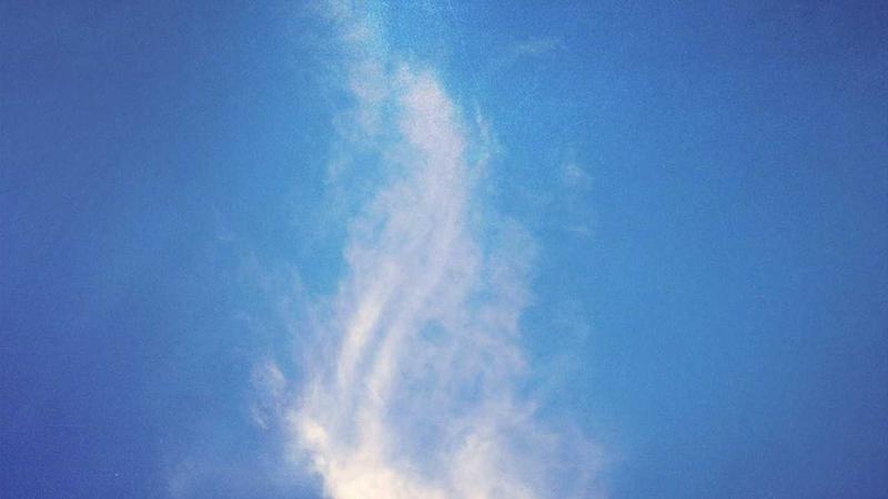ChatGPT写SEO文案：品牌调性+高转化技巧