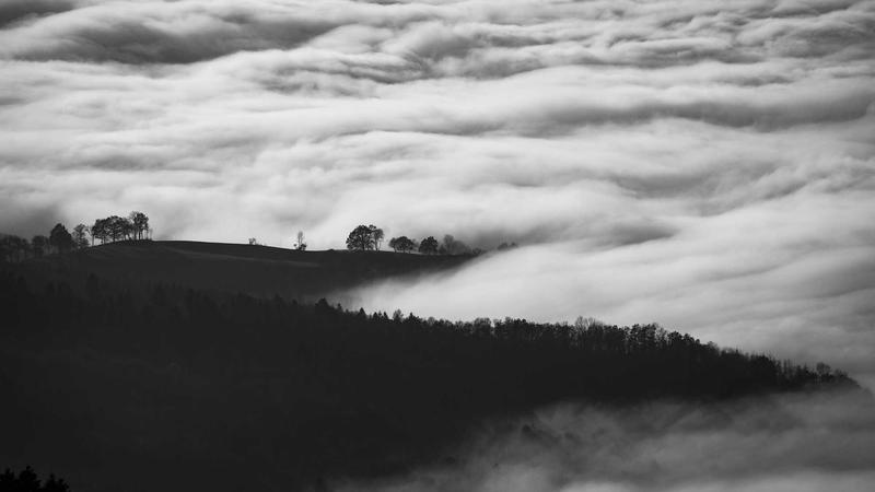 WordPress 6.5新功能：5大技巧提升效率体验