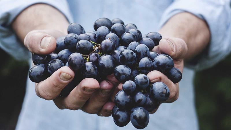 私域流量池：0到1高转化用户运营秘籍